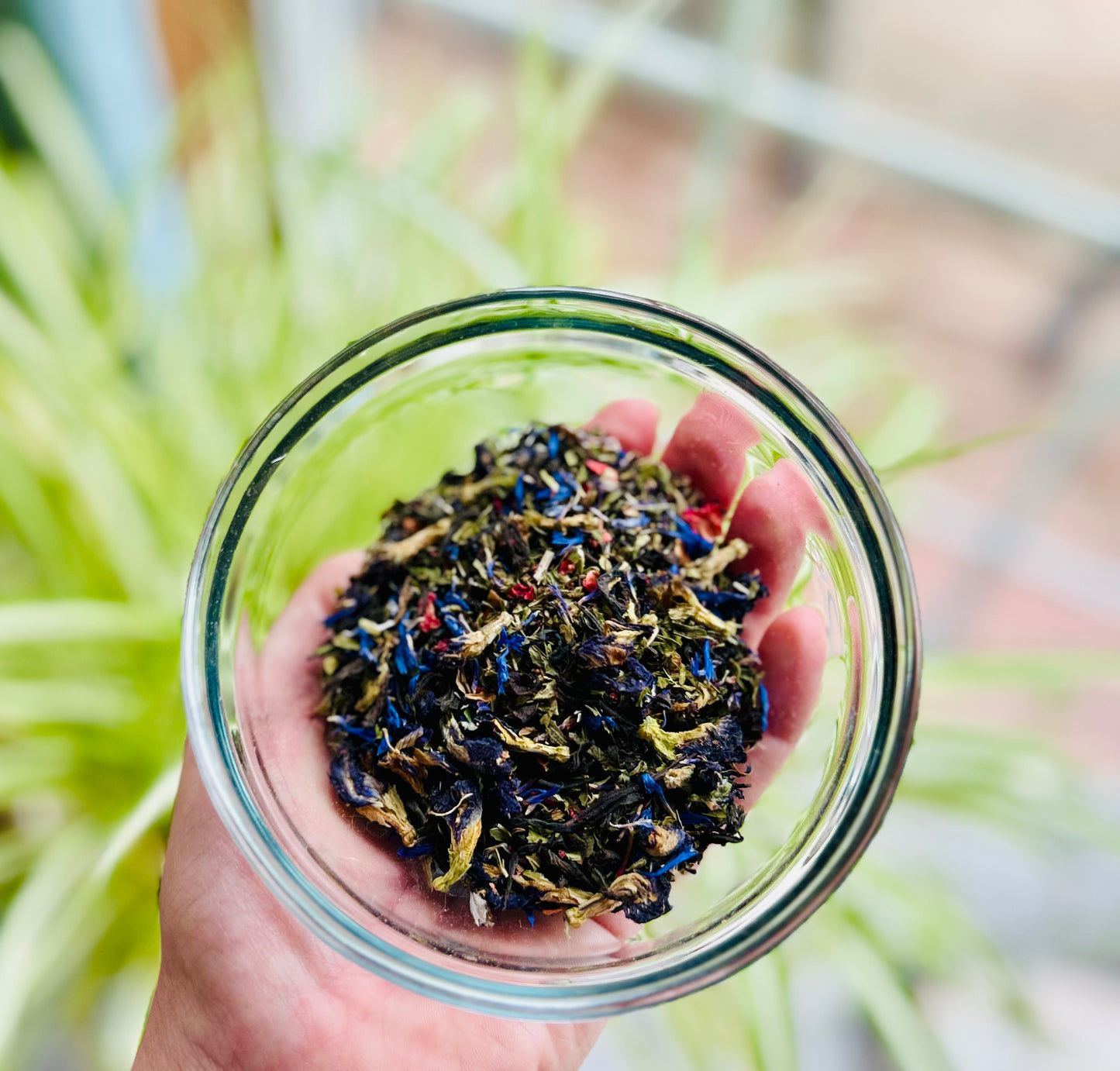 Red, White & Brew Black Tea